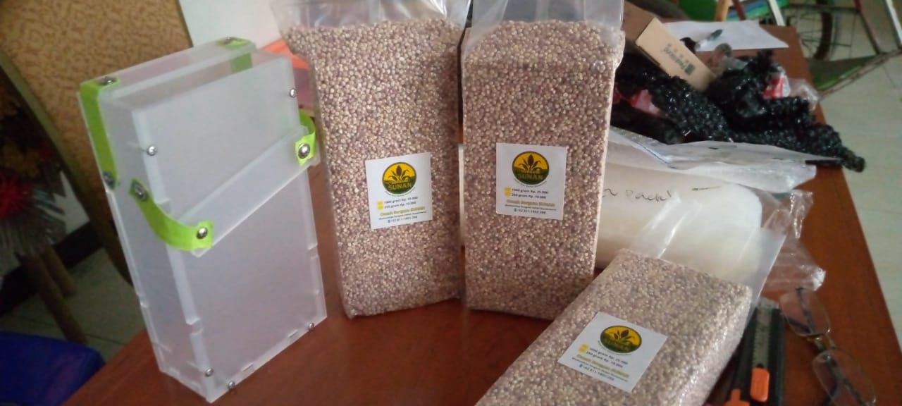 Sorgum: Si Superfood Alternatif Pengganti Nasi yang Kaya Gizi!